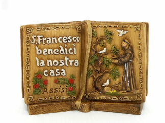 Libro S. Francesco_Art. 320