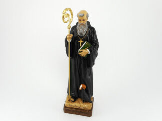 Statua S. Benedetto_Art. 110