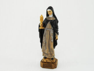 Statua S. Chiara_Art. 41/A