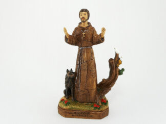 Statua S. Francesco_Art. 161