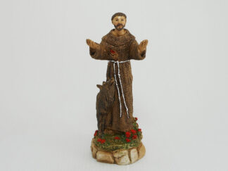 Statua S. Francesco_Art. 22