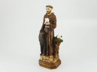 Statua S. Francesco_Art. 51