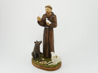 Statua S. Francesco_Art. 55