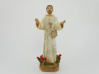 Statua S. Francesco_Art. 90